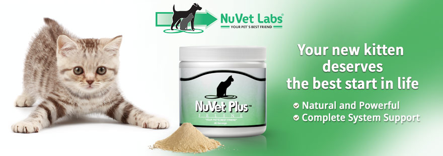 nuvet-labs-pet-supplements-header-kitten