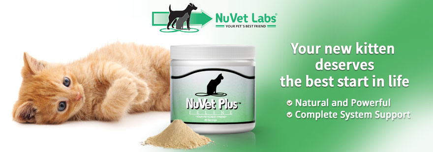 nuvet-labs-pet-supplements-header-kitten2