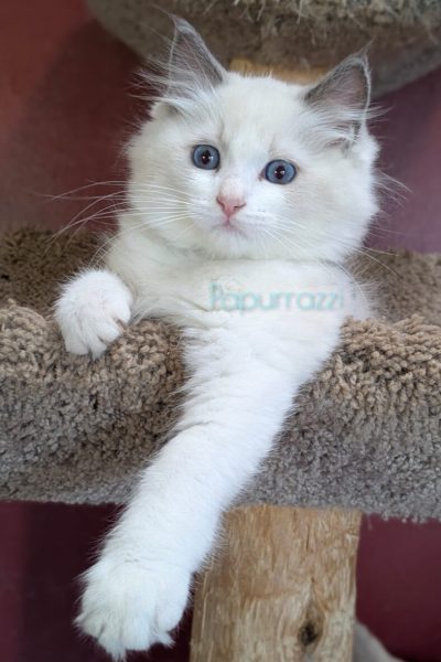 InFrame_1757046530044